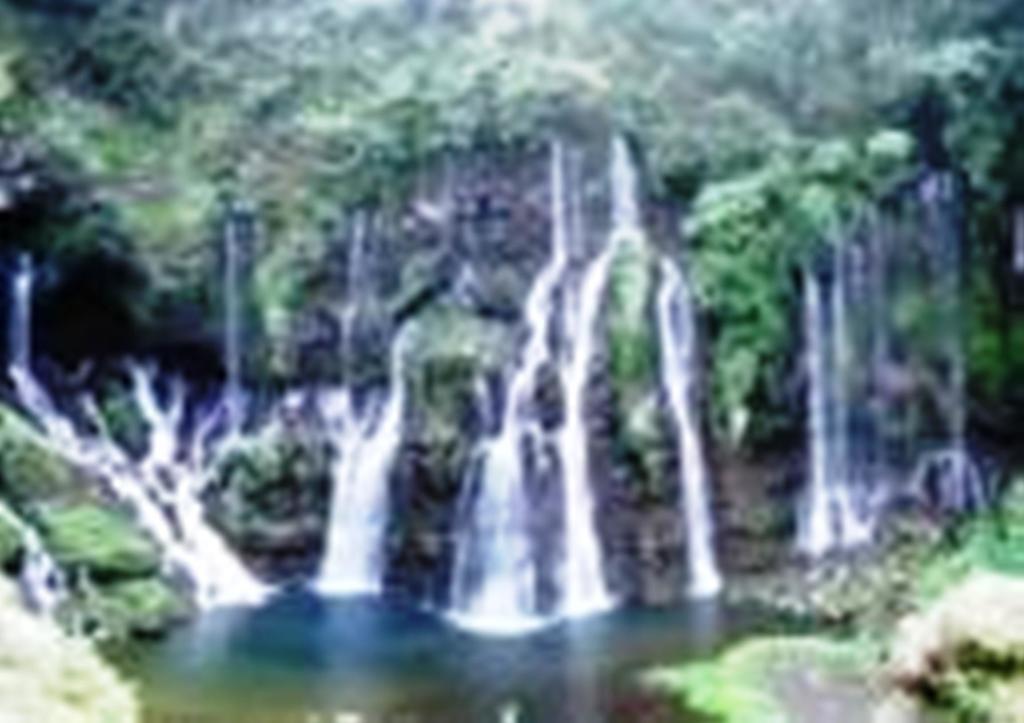 Braslontan Villa Le Tampon Buitenkant foto