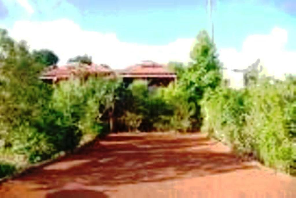 Braslontan Villa Le Tampon Buitenkant foto